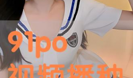 91po视频,揭秘热门短视频背后的精彩故事