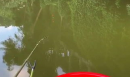 钓鱼视频,揭秘钓鱼视频中的精彩瞬间