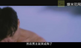 鸭王视频,揭秘鸭界传奇，带你领略鸭王风采